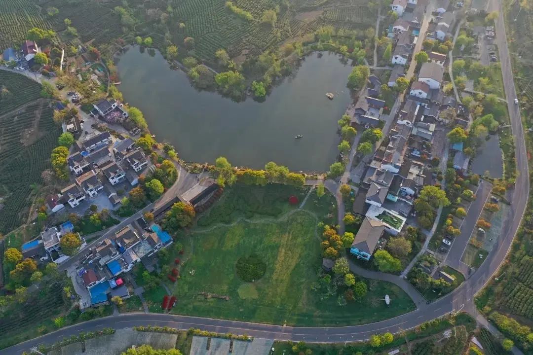 豪门国际团建 | 黄龙岘茶文化村之旅